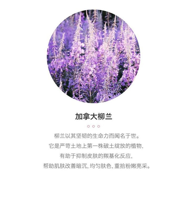 【香港直邮】美国 ORIGINS 悦木之源 粉滑嫩面膜 粉娃娃 100ml 新旧包装随机发货